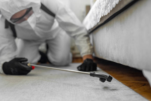 Professional Rodent Control technician working in Bay Village, OH