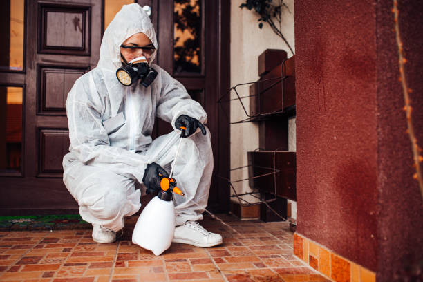 Reliable Rodent Control contractor in Bay Village, OH by Nex Pest Control