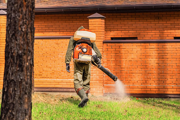 Trusted Bed Bug Control service in Bay Village, OH - Nex Pest Control